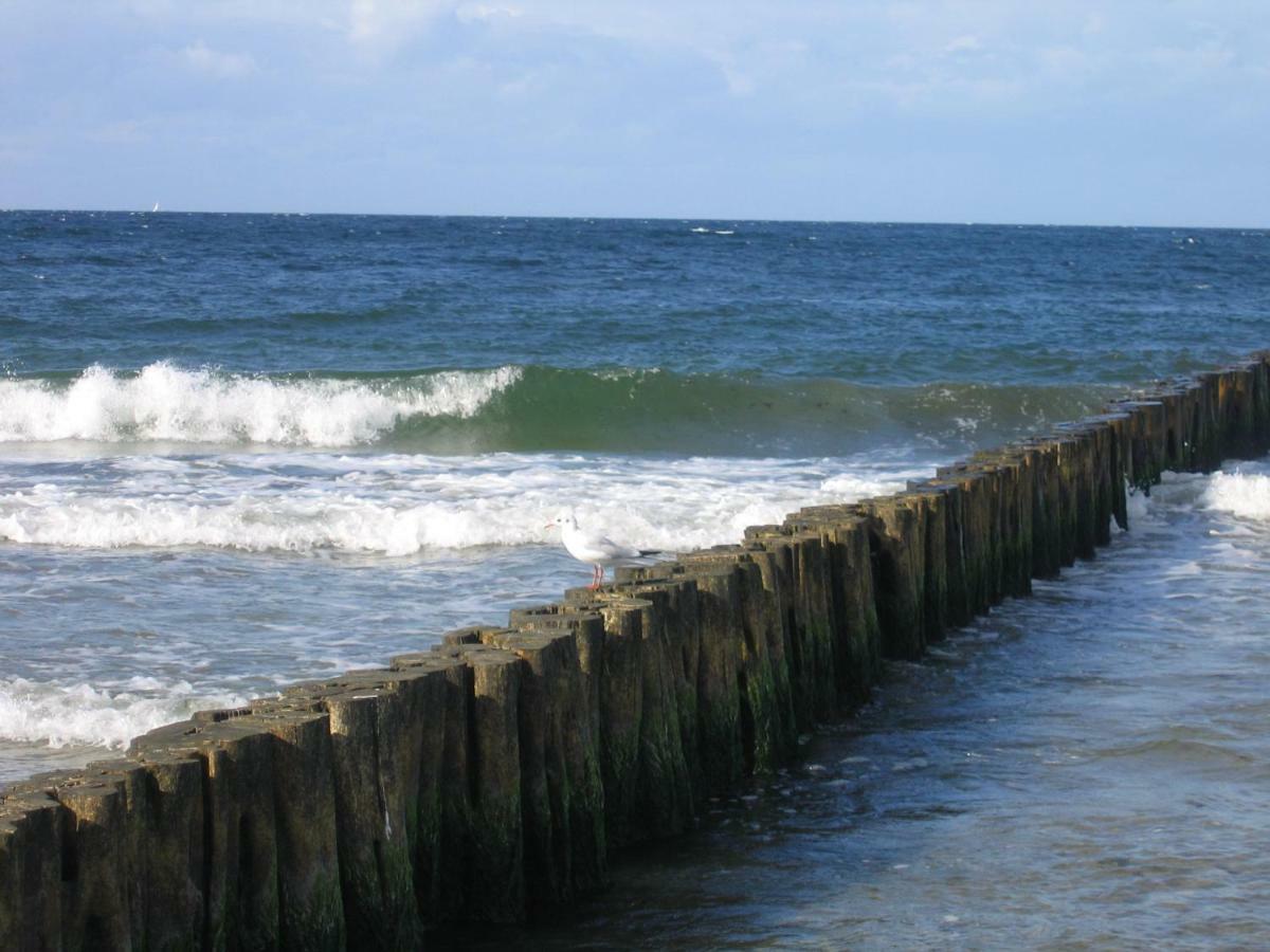 "Strand-Gut" Börgerende-Rethwisch Esterno foto